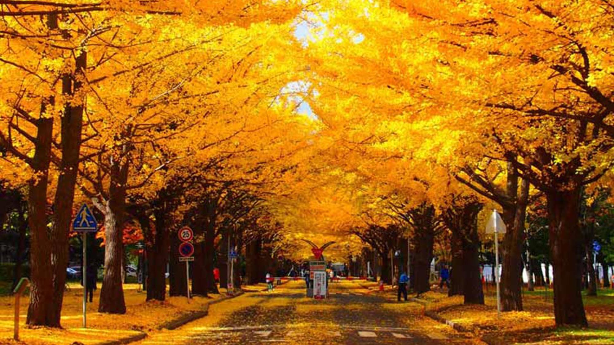 Toyoko Inn Hokkaido Sapporo-Eki Nishi-Guchi Hokudai Mae Kültér fotó